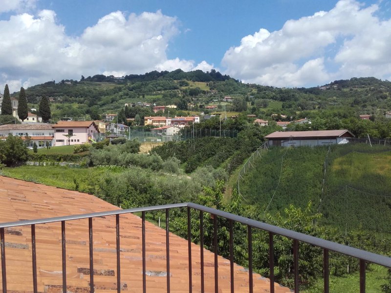 Agriturismo L'oro Rosso