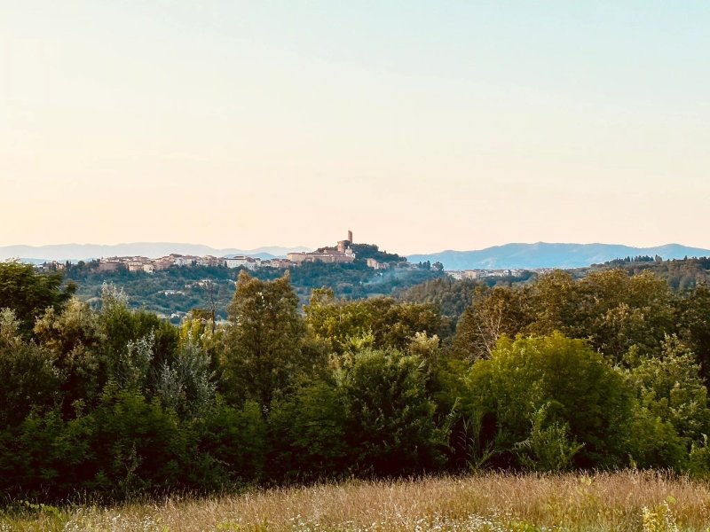 Agriturismo Villa di Moriolo