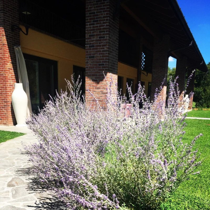 Agriturismo La Galizia