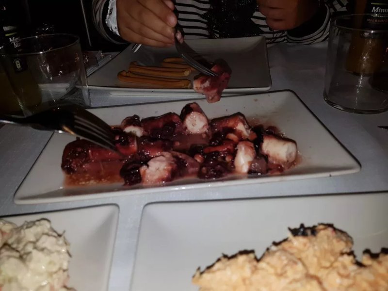 El PULPITO