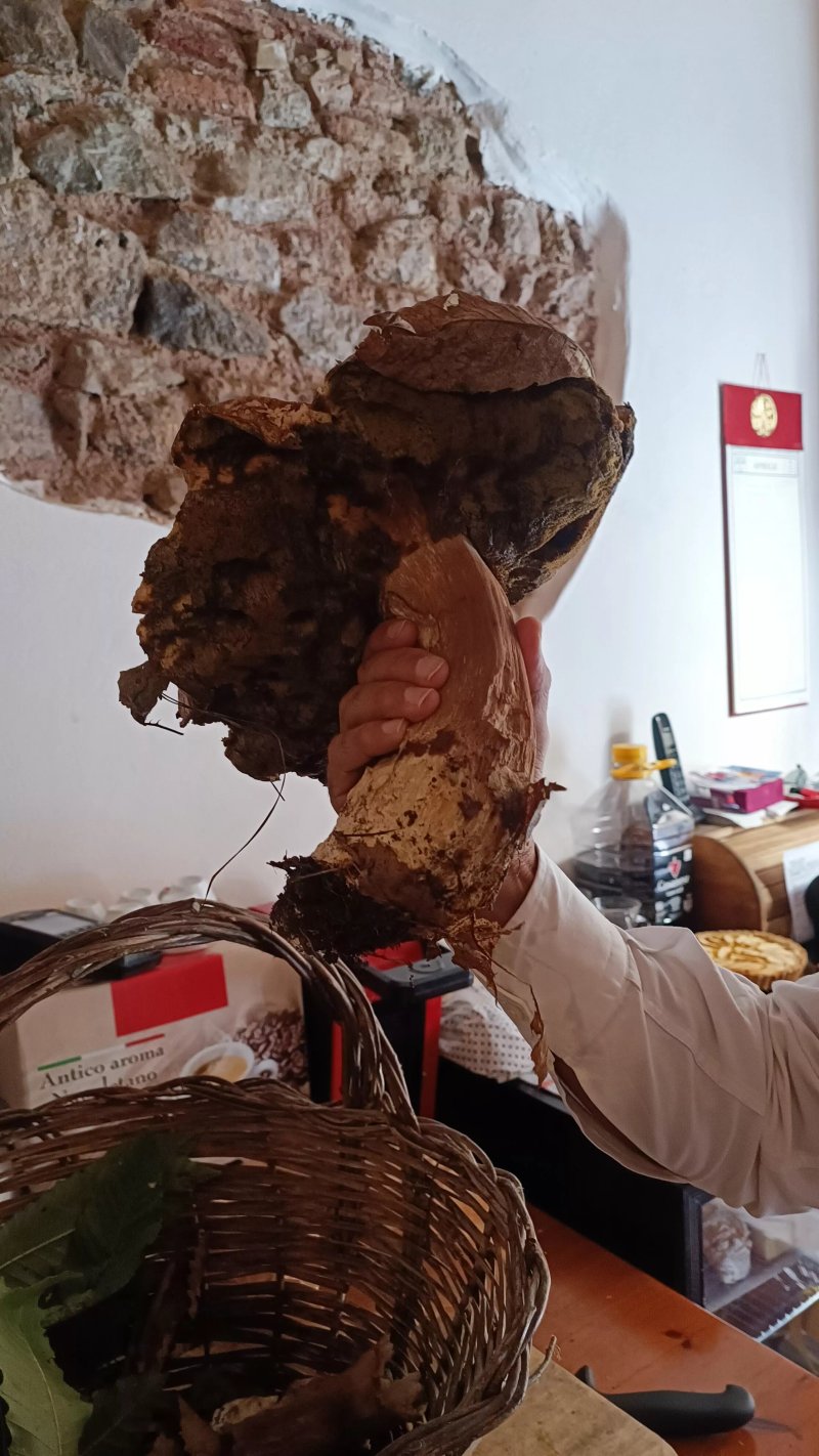 La Sargiada Trattoria Paesana Da Ciccio