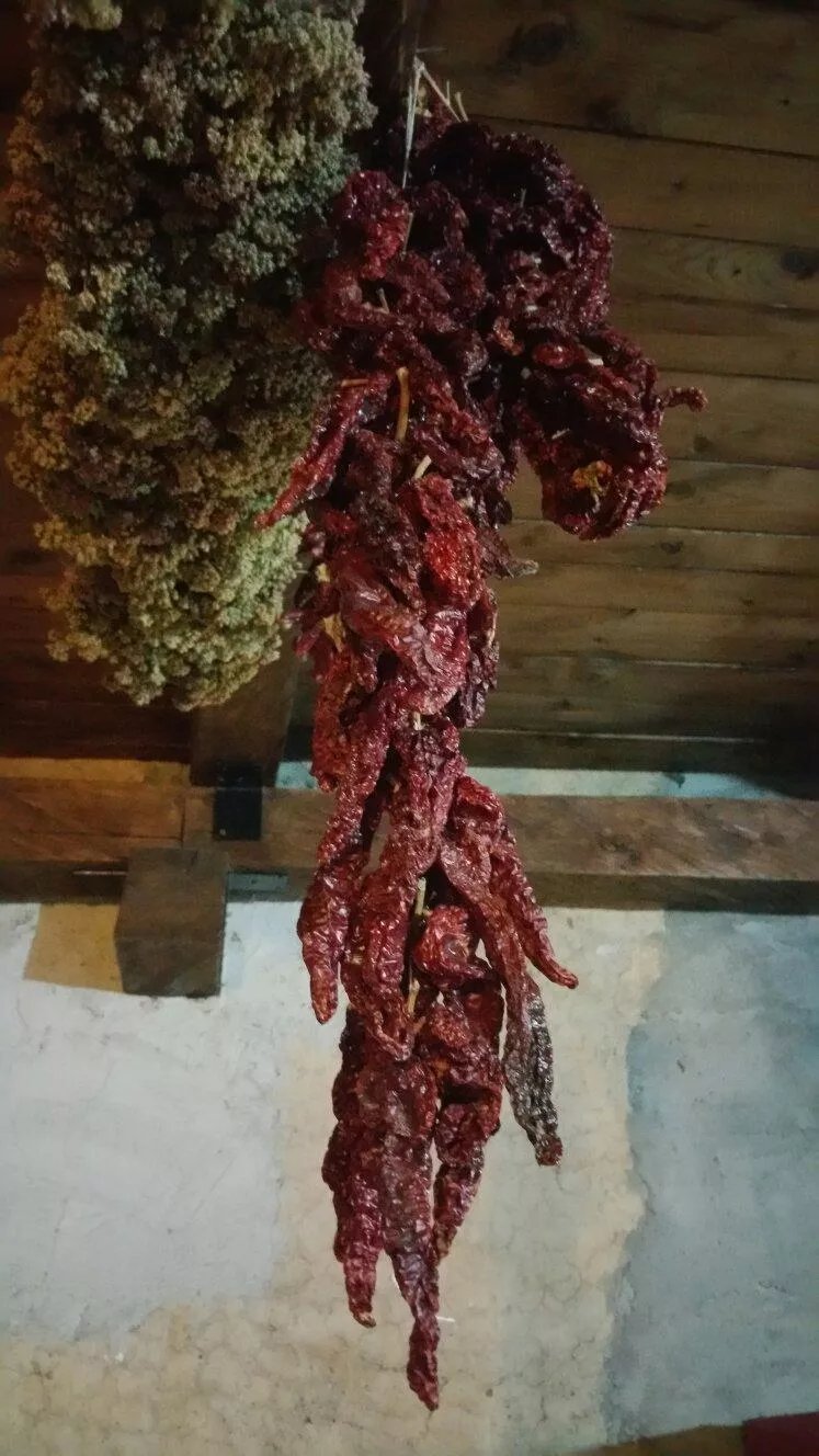 La Cantinella