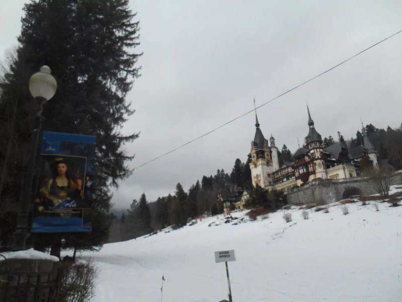 Hotel Silvia Apart Sinaia