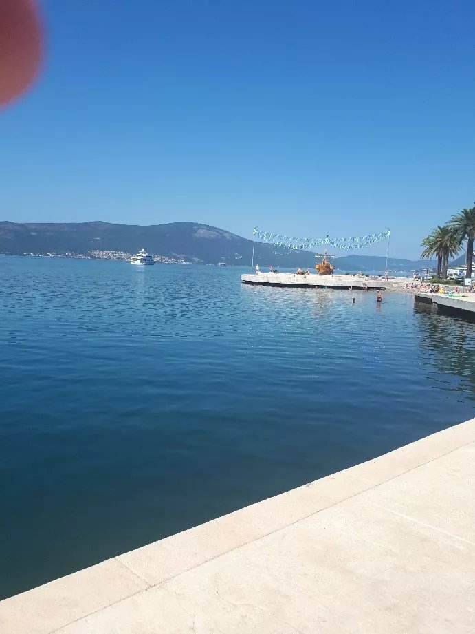 Contact Food Tivat