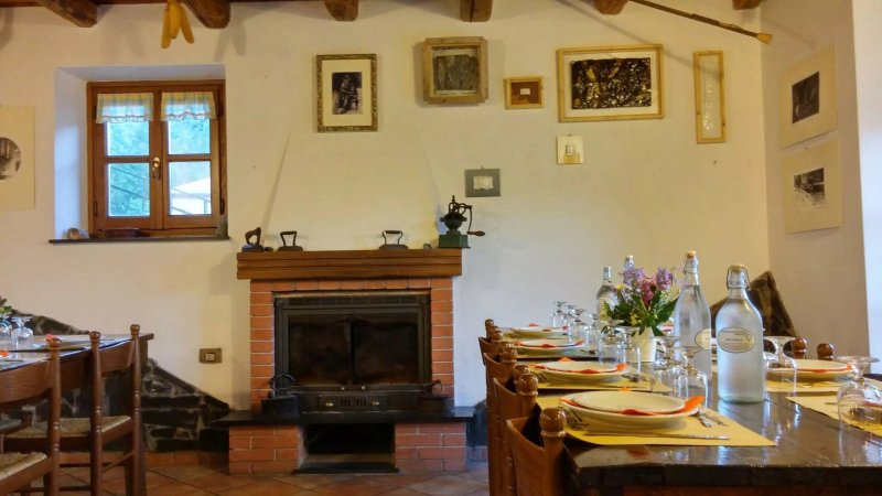 AGRITURISMO LE PIETRE TURCHINE