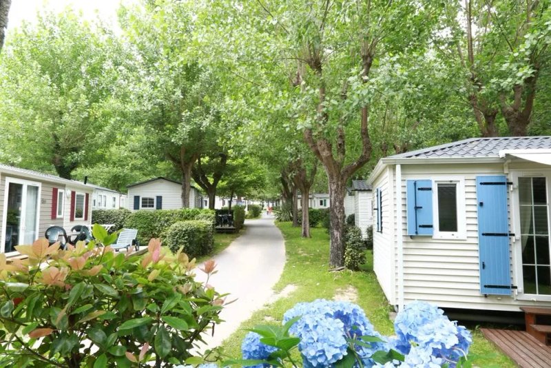 Camping Zelaia