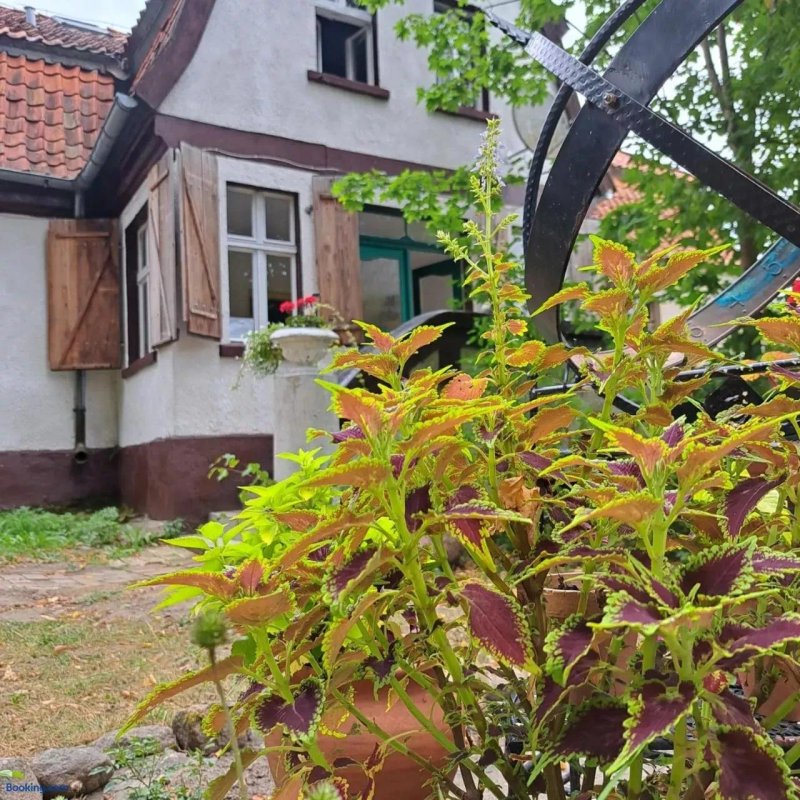 Impuls