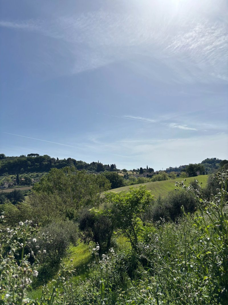 Agriturismo Podere Grotta Antica