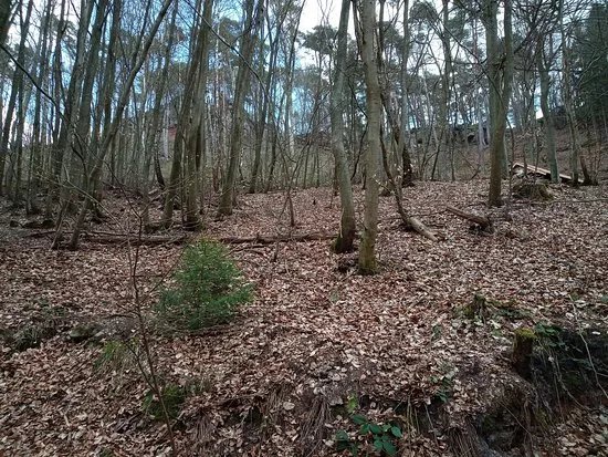 Quellheiligtum Heidenfelsen