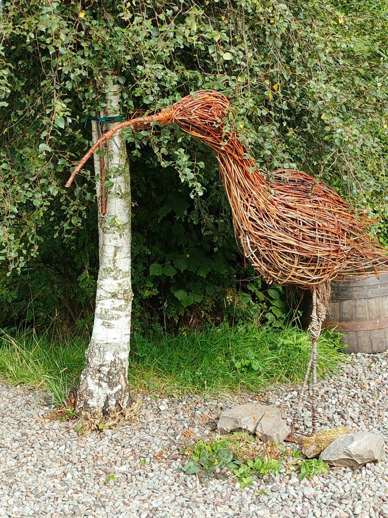 Trossachs Yurts