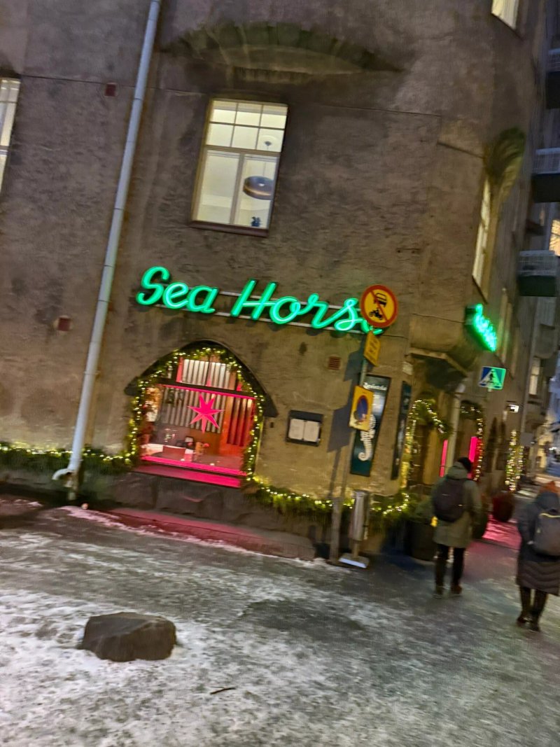 Sea Horse