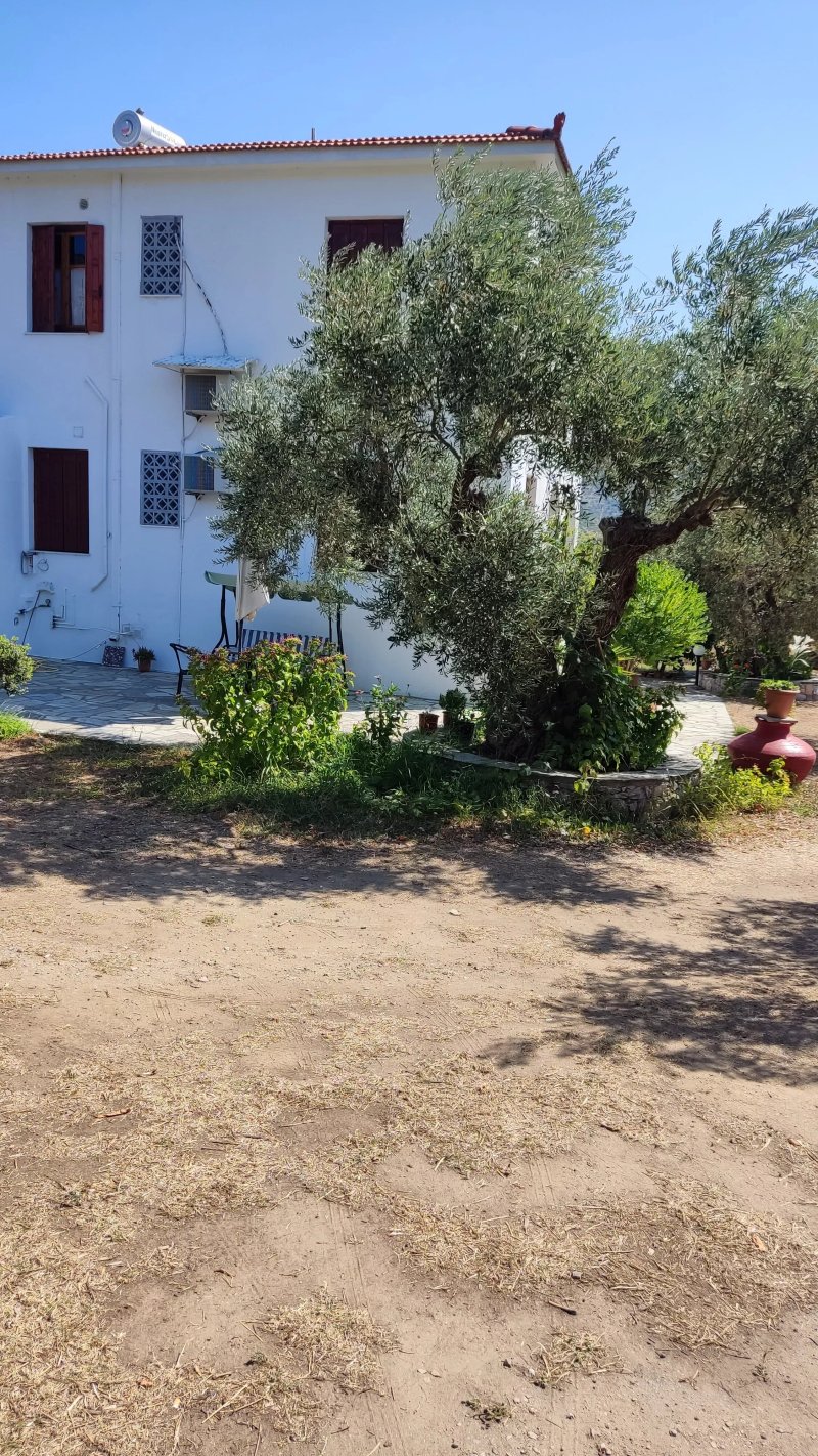 Liossis Room & Apartments
