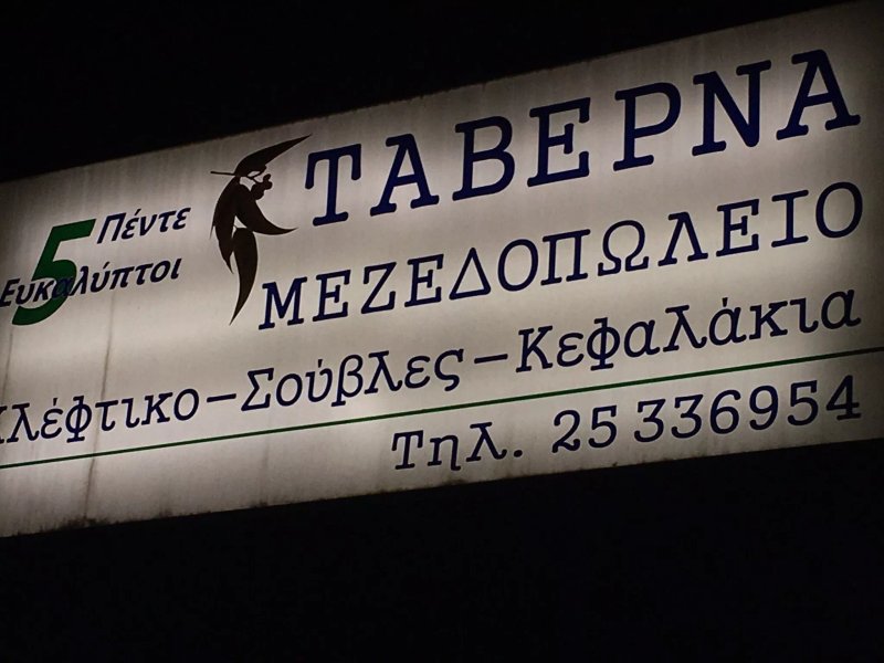 5 Efkaliptoi