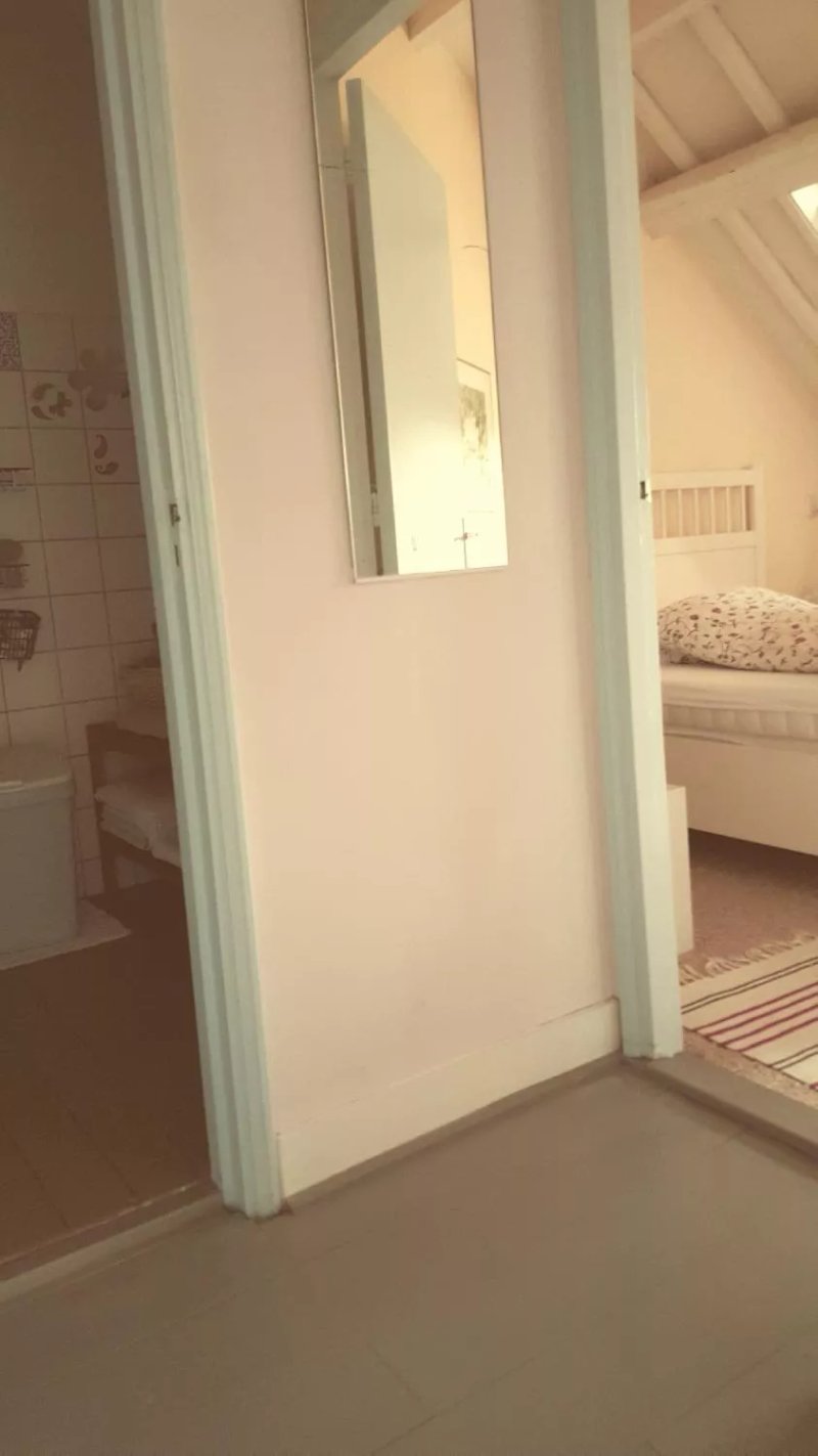 Salomon's Room