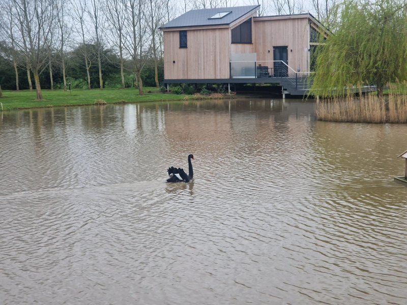 Woad Mill Lakeside Lodges