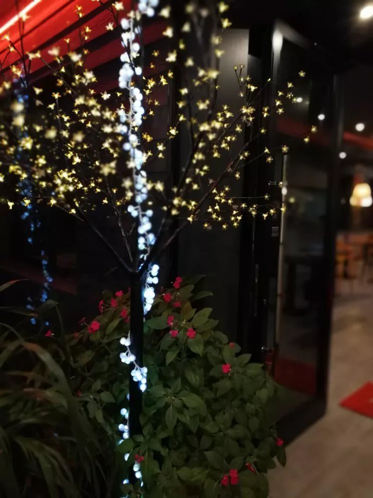 Mandarin Garden