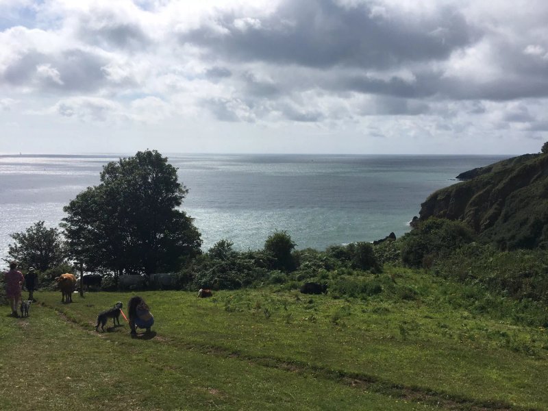 Dartmouth Castle Tea Rooms