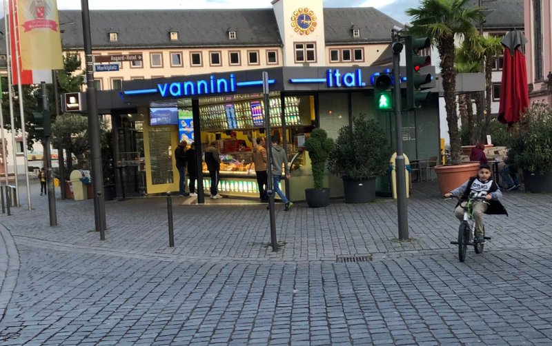 VANNINI