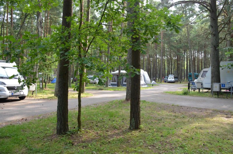Camping Pajurio Kempingas