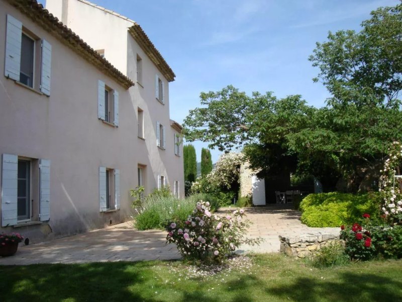 Vieux Figuier