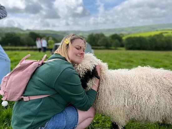 Cute Farm Experience