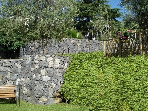 Parco degli Ulivi