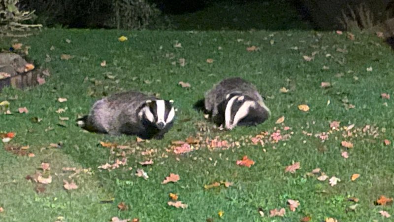 Little Acorns Bed & Breakfast