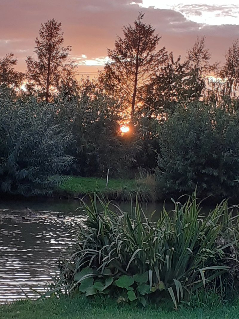 Westerly Lake Fishing and Caravan Park