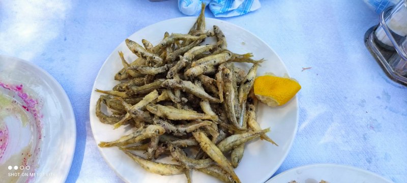 To Limanaki