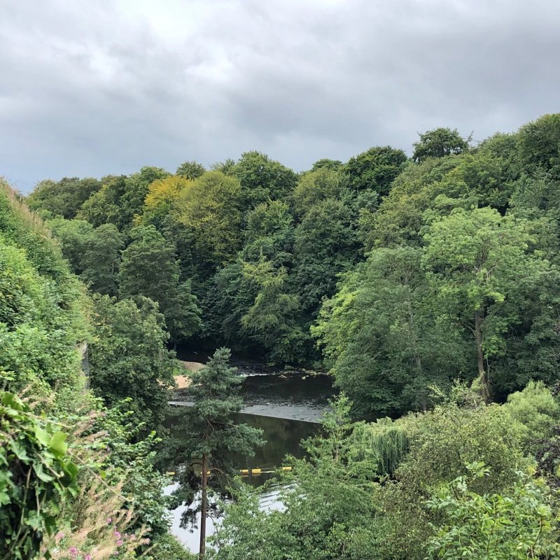 Bilton Park