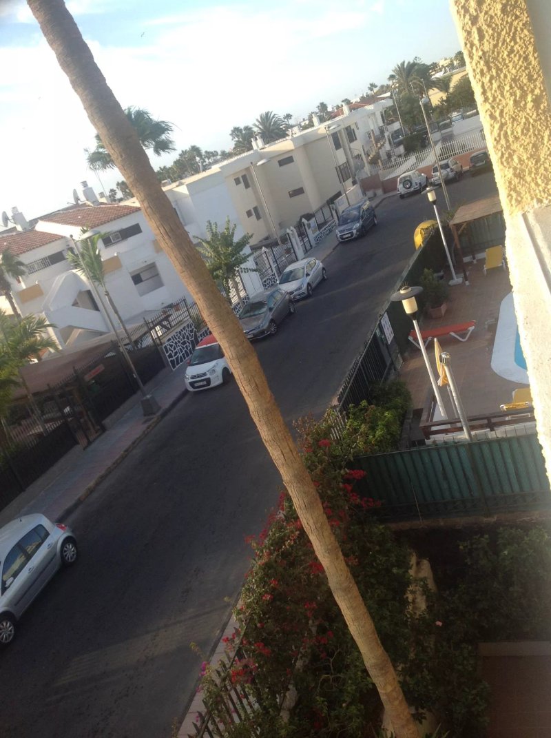 Apartamentos El Cisne