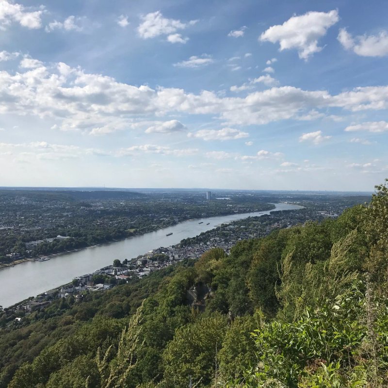 Drachenfels. Restaurant & Eventlocation
