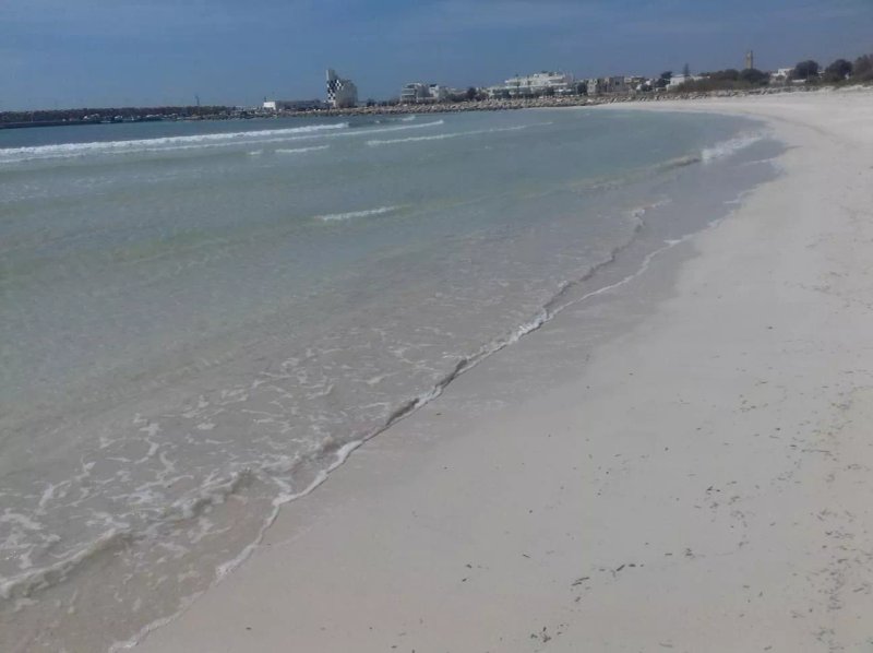 Lido Oasi Degli Angeli