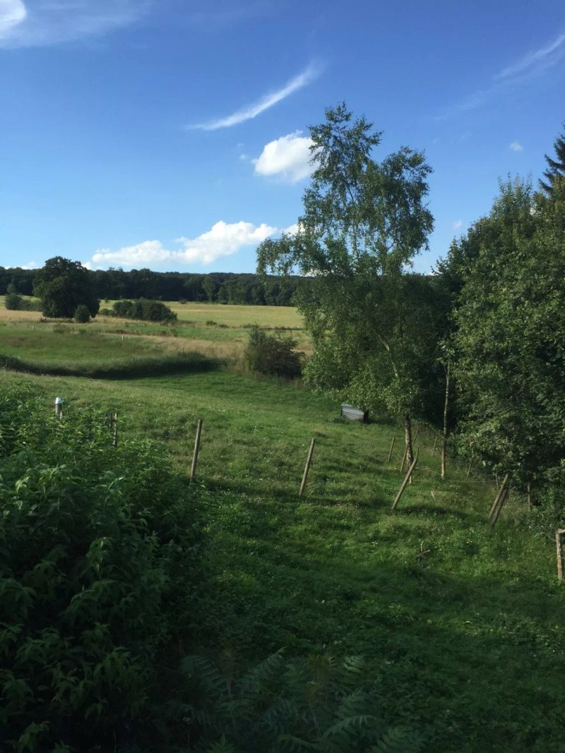 La Lisiere
