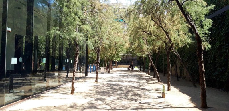 Jardins de Candida Perez