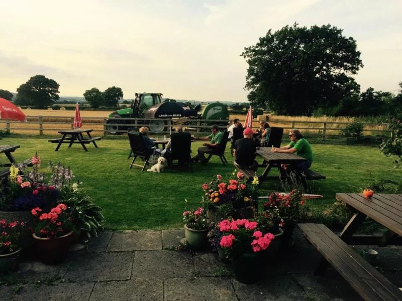 The Shire Horse