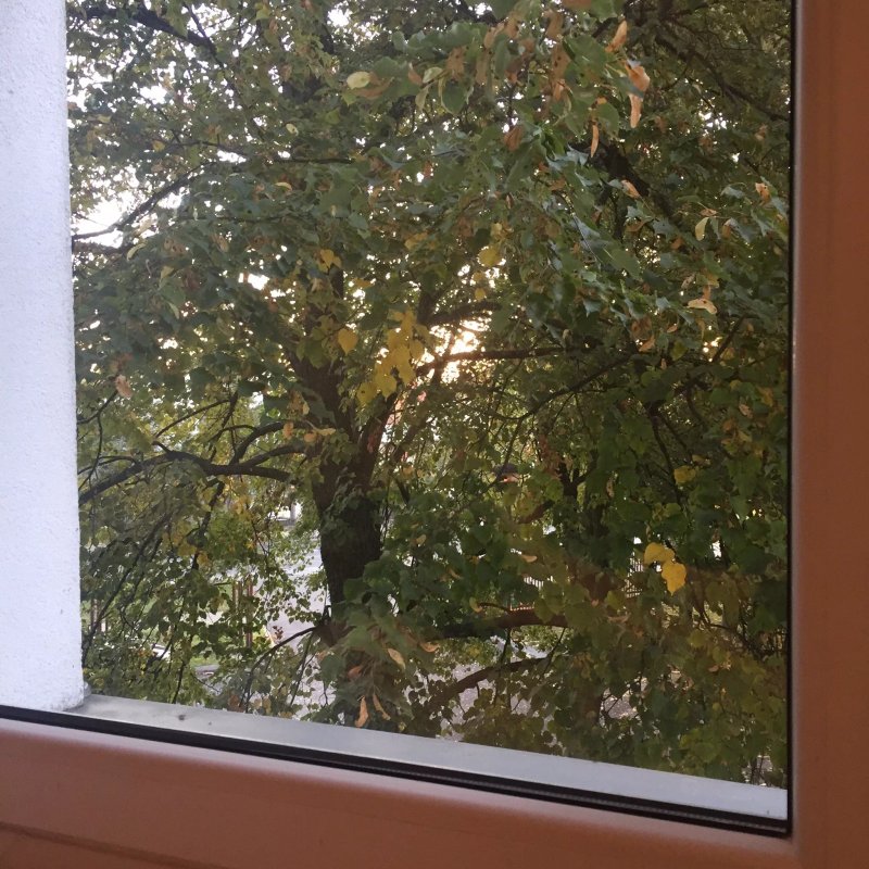 Usługi Hotelowe Podlasie