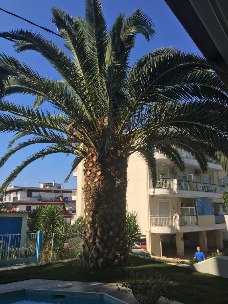Hotel Cariatis