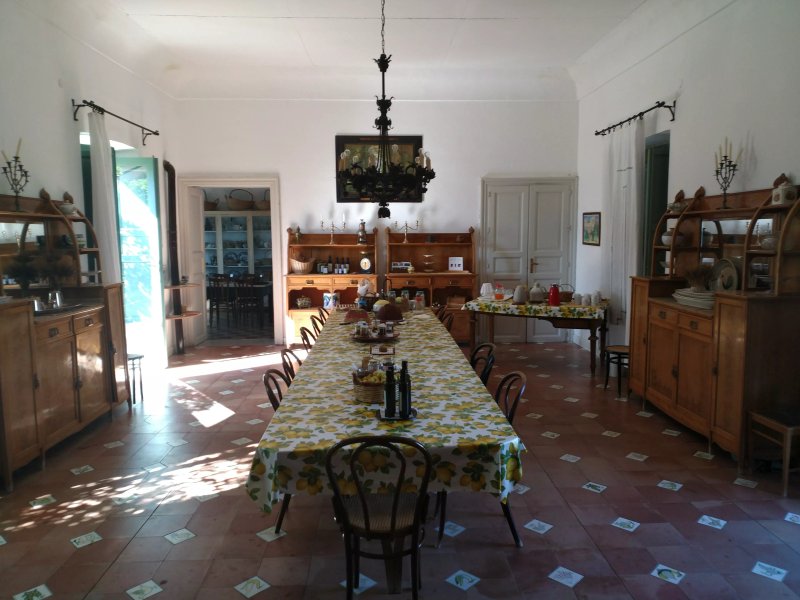 Fattoria Mose