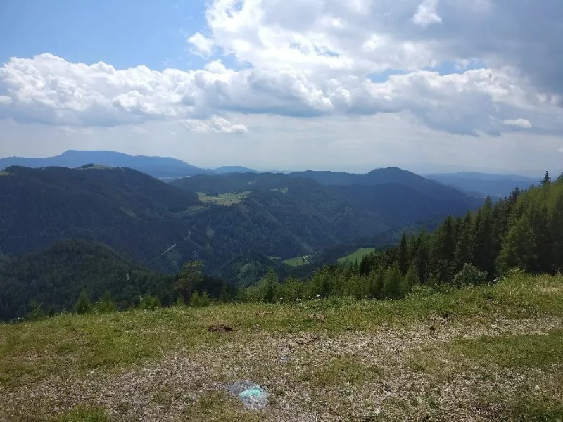Tyrnaueralm