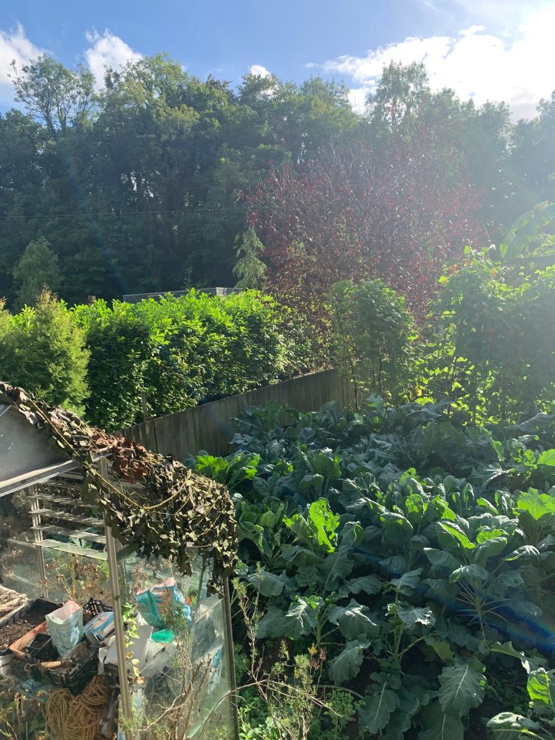Meadowbrook Cottage B&B