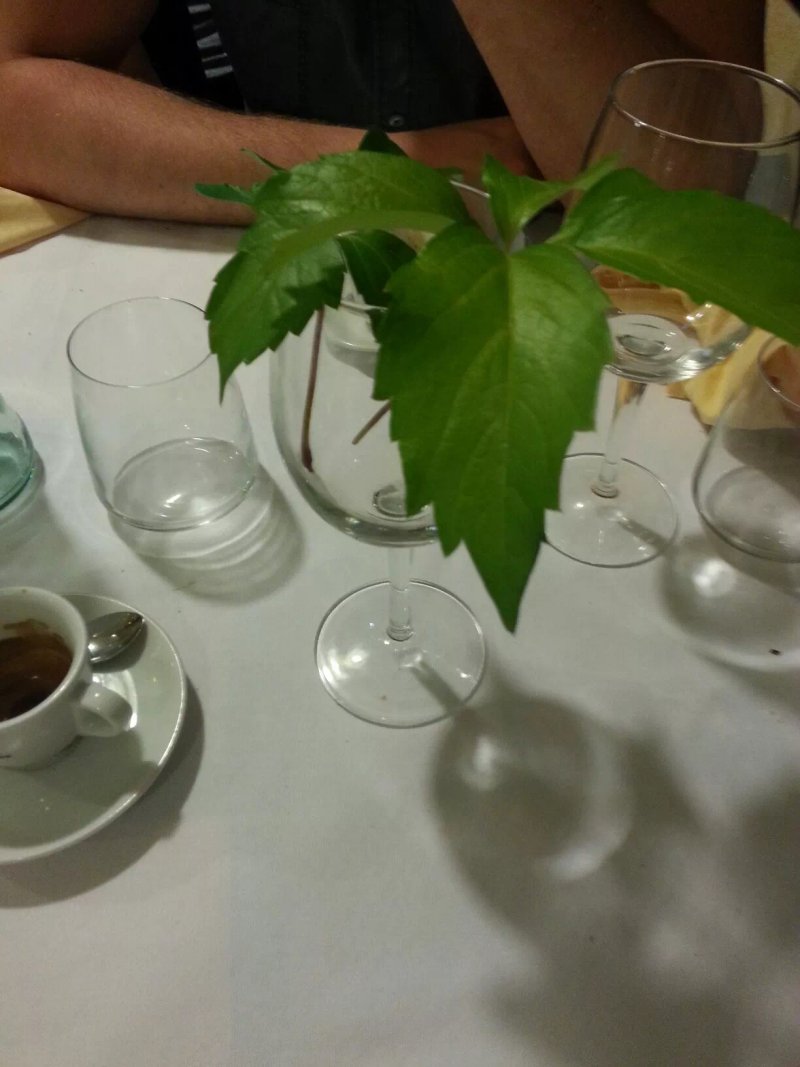 ristorante pizzeria alberotondo