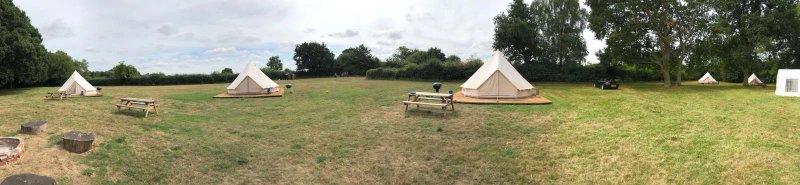Gorsey Meadow