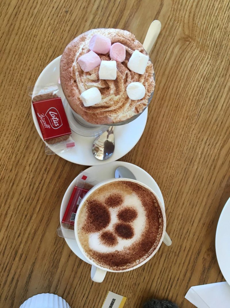 Paws For Tea Tearooms