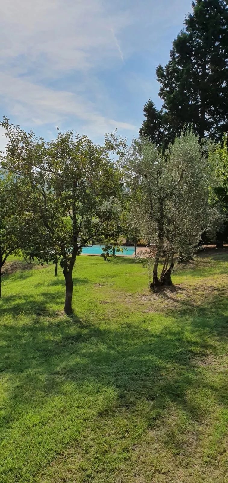 La Veronica Resort
