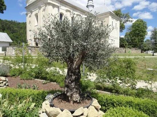 Muszyna Bible Gardens