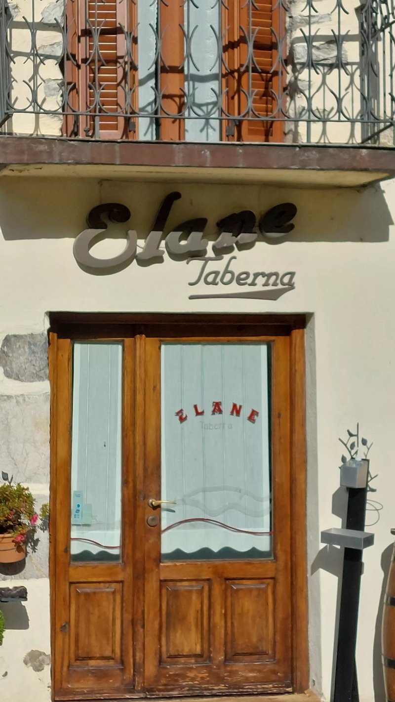 Elane