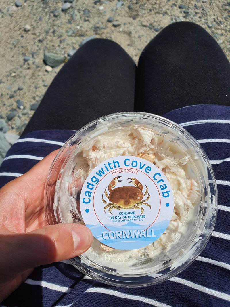 Cadgwith Cove Crab