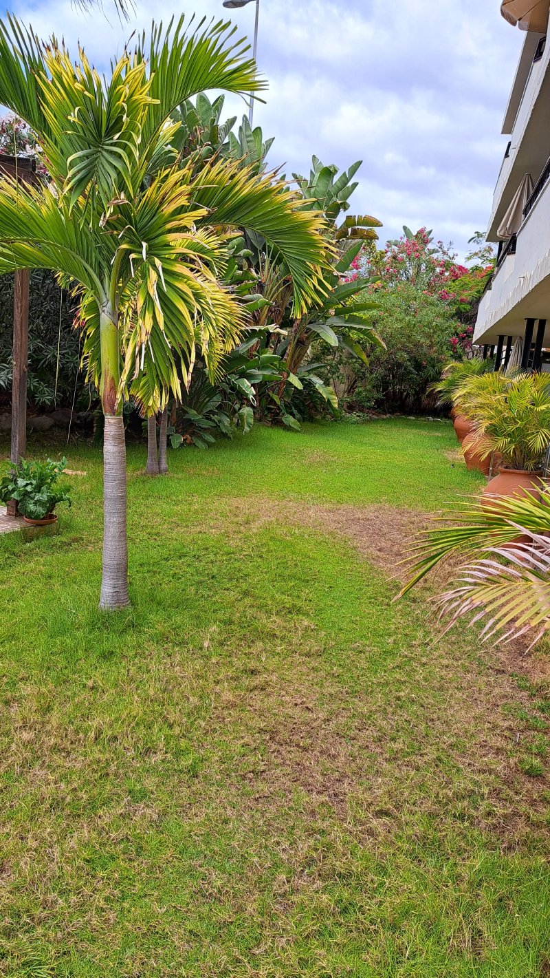 Apartamentos Nogal