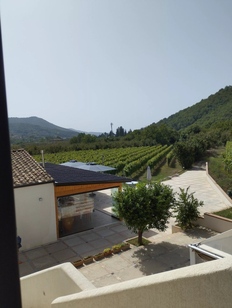 Bluu Guerritore Cucina Di Campagna
